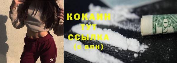 сатива Абаза