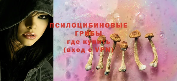 крисы Михайловск